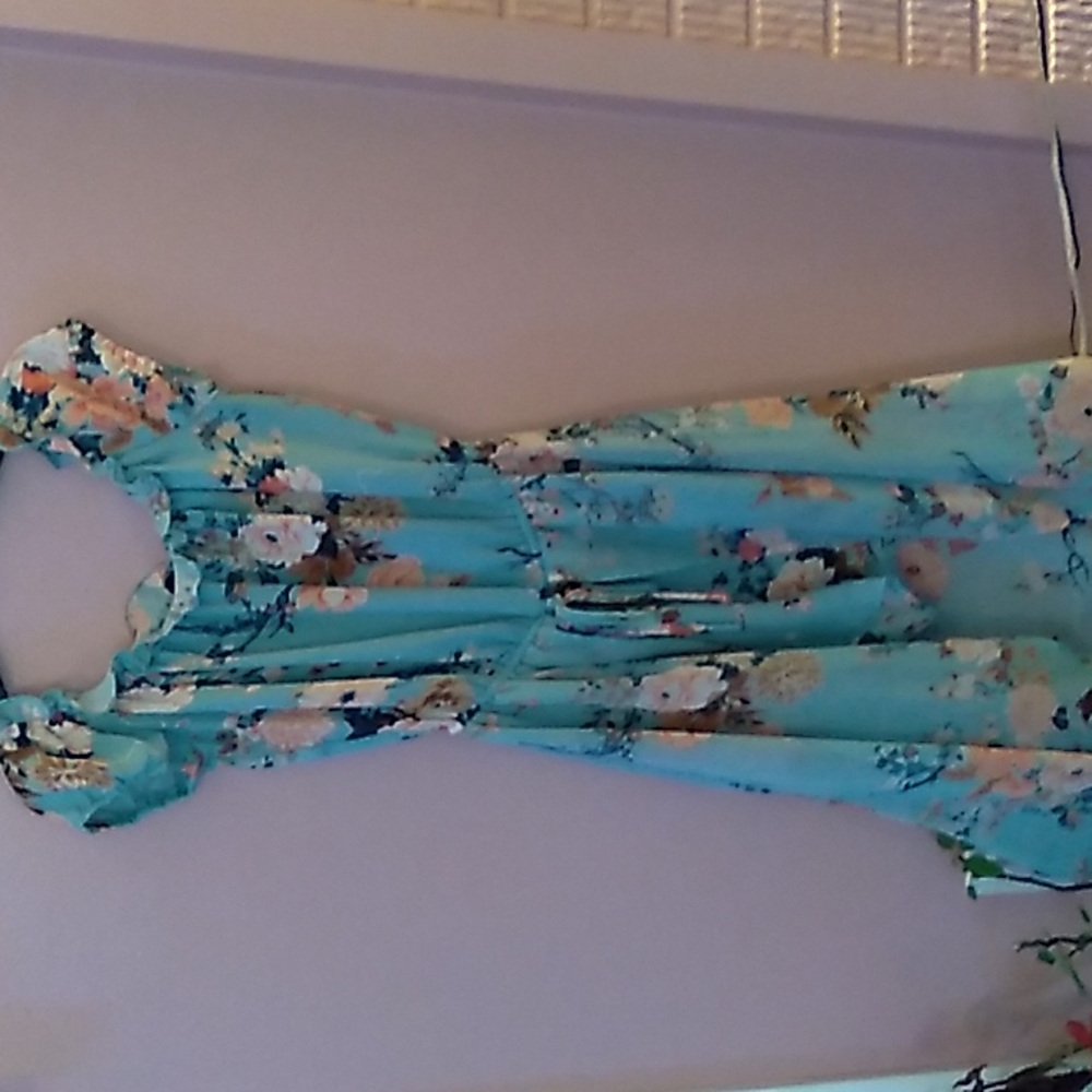 Blue and Pink Floral Dress